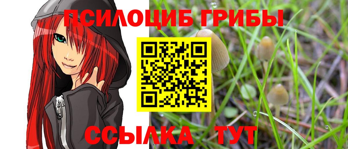 Галлюциногенные грибы Psilocybine cubensis Сланцы